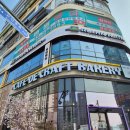 중앙역앞 | 검단신도시 빵맛집 카페드크래프트 신검단중앙역 유기농 베이커리 후기