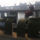 장대공원 이미지