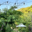 나인블럭 키친 이미지