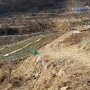 영달농장 이미지