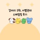 센트럴 동물메디컬센터 | 강아지 이빨관리 스케일링 후기 - 전주센트럴동물메디컬센터