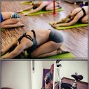 관절천국 이미지