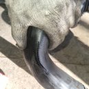 동구카센타 이미지