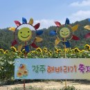 활짝 핀 20만송이의 해바라기...[함안 강주 해바라기 축제] 이미지