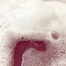 캔디노래바