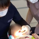 비지치과의원 | [울산/송정] 울산북구소아치과 울산유아치과 유아구강검진 | 송정봄소아치과