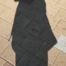 유앤정헤어 이미지