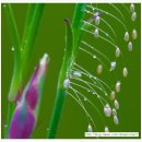 GR(장흥군)-[부유로]-상-8 | 불교와 절에대한 이해