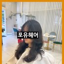 나성동미용실 포유헤어에서 받은 레이어드펌 후기