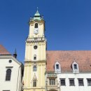 신명나는 난터 이미지