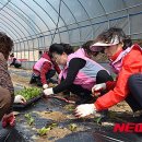 양구아름다운동행요양원 이미지