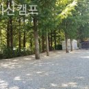 파주기산캠프 이미지