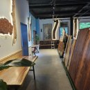 파인트리비 이미지