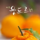 한비농장 네이버블로그