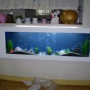 구립성모어린이집 이미지