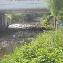 광지원약국 이미지