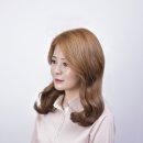 지노컨설팅