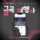 금곡국제여행사 이미지
