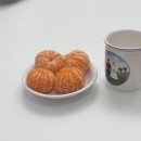 이랴 | déc.3-4 이랴 이랴 힘이 나게 해주세요