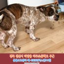 하주초등학교 이미지