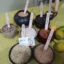 양지농장2 이미지