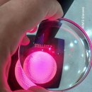 독립로L(2) 이미지