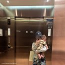 중모식당 | 스카이 온 파이브 다이닝 | 김포공항 워터파크 수유실 후기 | 모유수유 4개월 아기랑, 38개월 첫째