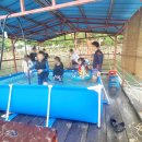 팽나무 민박 이미지