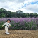 순한쌀빵빵순 이미지