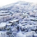 브런치앤숲 이미지