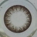 미미&코코 이미지