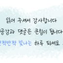 앤티앤스인천운서점