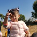 정남농촌체험휴양마을 이미지