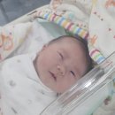 석배 | [2026.02.09-15] 호떡아,반가워👶🏻👶🏻