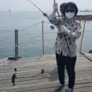 수진좌대 이미지