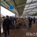 이룩축산
