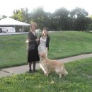 (주)에이스켄넬 이미지