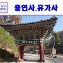 운문사내주차장 | 대구여행 경북 비슬산 가볼만한 절 동화사 말사 용연사, 유가사