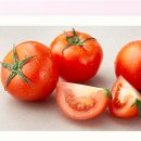 친환경 토마토 이미지