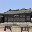 금성관광주 이미지