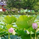 하리공원 앞 이미지