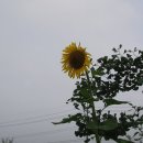 희망찬농장 이미지