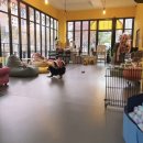 멜리애견유치원 이미지