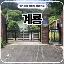 디자인나비 | 계룡휀스 시공 후기, 파손된 출입문을 디자인 나비A형으로 재탄생