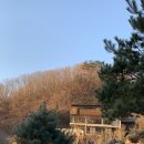 힐리언스 | 나를 되찾는 쉼표! 홍천 힐리언스 선마을 디지털 디톡스 내돈내산 힐링 후기