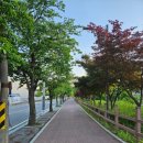 왕숙천 자전거도로14 이미지