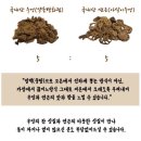 생수건강원 - 수원시 권선구 세지로 46-1 | 생수건강원