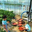 반석어린이집 이미지