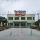 이스트독도 이미지