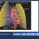 서울동물메디컬센터 이미지